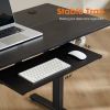 Sweetcrispy Electric Standing Desk with Keyboard Tray Large Ergonomic Computer Desk Home Office Desk,55 x 24 Inches Black